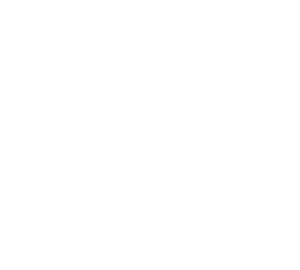 Rogue Industries